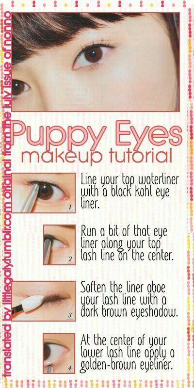 Puppy Makeup Tutorial, Korean Puppy Eyes, Puppy Eyes Makeup Tutorial, Puppy Eyes Makeup, Puppy Makeup, Eyes Makeup Tutorial, J Makeup, Japan Makeup, Asian Makeup Tutorials