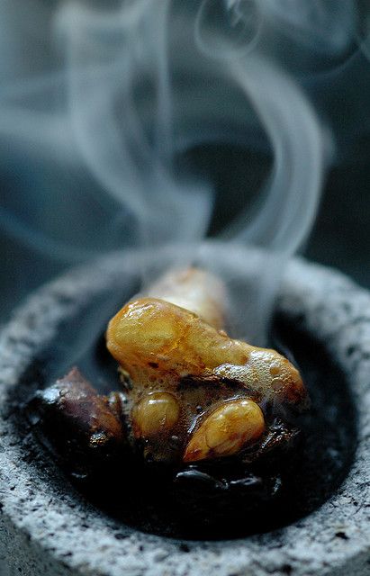 Copal and frankincense resin. Resin Incense, Frankincense Resin, Incense Oil, Smudge Sticks, Book Of Shadows, Incense, Scents, Essential Oils, Spirituality