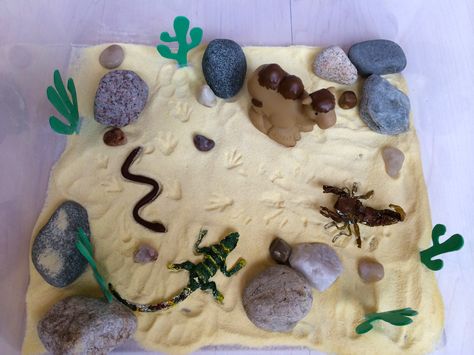 Fisher Animal, Desert Crafts, Kids Deserts, Habitats Projects, Sensory Tubs, Sand Tray, Desert Climate, Hot Desert, Desert Animals