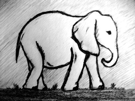 Elephant Sketch Simple, Elephant Simple Drawing, Sketch Of Elephant, Elephant Drawing Simple, Simple Elephant Drawing, Easy Elephant Drawing, Elephant Sketch, Baby Elefant, Elephant Drawing