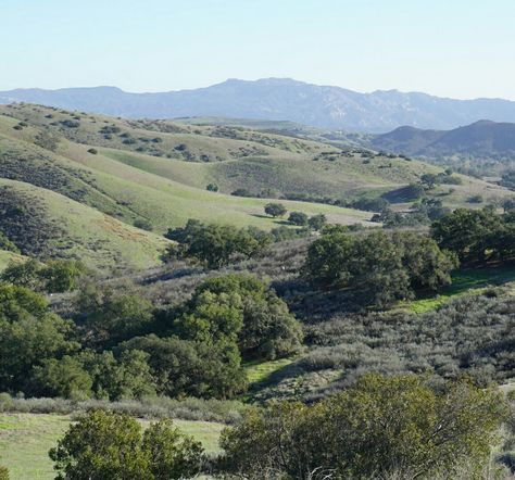 Cheeseboro/Palo Comado Open Space Agoura Hills Agoura Hills California, Environment References, California Photos, Ventura County, California Love, Open Space, My Childhood, Hiking, Real Estate