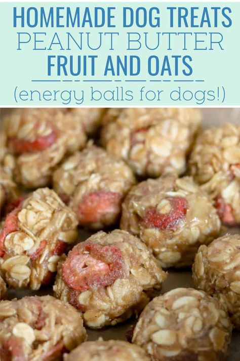 Easy-to-make homemade dog treat recipe made with just five ingredients. Peanut Butter, Fruit and Oat Balls for Dogs Recipe just takes 15 minutes to make! Apple Peanut Butter, Homemade Dog Cookies, Dog Treats Homemade Easy, Easy Dog Treat Recipes, Make Dog Food, Dog Biscuit Recipes, Easy Dog Treats, Peanut Butter Oats, Apple And Peanut Butter