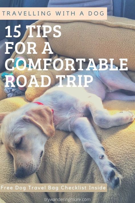 Dog Trip Checklist, Traveling With A Dog Road Trips, Travel With A Dog, Dog Packing List Road Trips, Traveling With Your Dog, Traveling With Pets In Car, Road Trip With Dogs Ideas, Travelling With Dog, Cross Country Road Trip With Dog