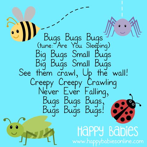 Bugs Bugs Bugs song from www.happybabiesonline.com Insects For Kindergarten, Bug Songs, Rhyming Poems For Kids, Butterfly Lessons, Plants Kindergarten, Storytime Ideas, Bug Activities, Insects Preschool, Children Songs