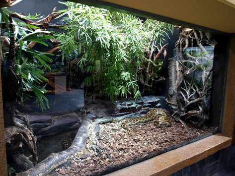 New York Zoo, Snake Terrarium, Snake Enclosure, Tortoise Enclosure, Zoo Architecture, Snake Tank, Tortoise Habitat, Reptile Room, Reptile Tank