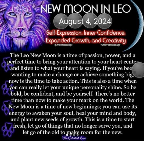 New Moon August 2024, New Moon In Leo Ritual, New Moon In Leo 2024, New Moon In Leo, Leo Full Moon, July Leo Vs August Leo, Moon In Leo, Something Big, Make A Change