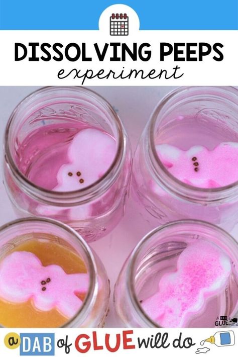 Peep Science Experiment, Peeps Science Experiment, Easter Science Experiments, Scientific Method Activities, Peeps Crafts, Science Fair Experiments, Easter Science, Stem Activities Preschool, Science Experiment For Kids