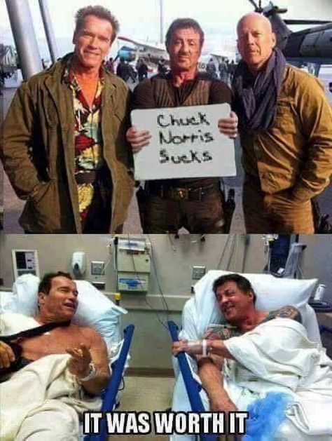 The Expandables, Chuck Norris Memes, Chuck Norris Funny, Chuck Norris Facts, Chuck Norris Jokes, Image Meme, 9gag Funny, Funny Jokes For Adults, Chuck Norris