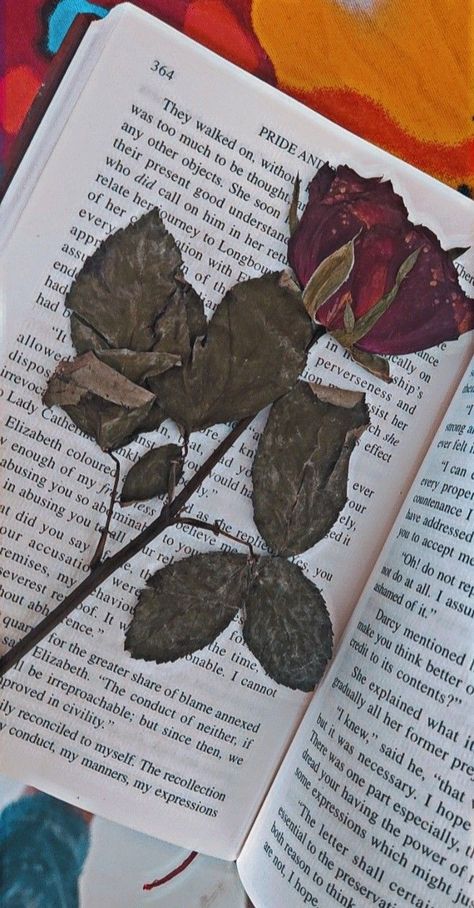 #rose #couple #love #wallpaper #book Rose Couple, Wallpaper Book, Fashion Mistakes, 10 Pounds, Love Wallpaper, Red Rose, World Of Fashion, Stay Tuned, Dried Flowers