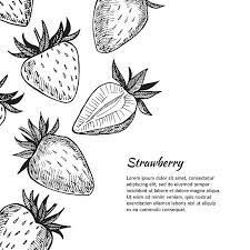 Illustration Strawberry, Types Of Strawberries, Strawberry Art, Food Illustration Art, Hand Drawn Vector Illustrations, Pop Design, Get A Tattoo, Food Illustrations, Line Drawing