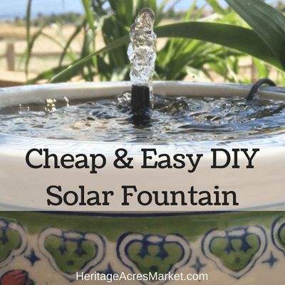 When was the last time $15 made you REALLY happy, on a daily basis, and helped you save electricity? Probably close to never. But I’m here to fix that. Check out this solar powered fountain w… Diy Solar Water Fountain, Diy Solar Fountain, Bird Fountain, Solar Powered Fountain, Diy Water Feature, Solar Water Fountain, Diy Water Fountain, Garden Water Fountains, Solar Energy Diy