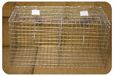 How To Build a Transport Cage Chicken Transport Cage Diy, Rabbitry Setup, Rabbitry Ideas, Small Backyard Farm, Rabbit Carrier, Diy Rabbit Cage, Diy Rabbit Hutch, Show Rabbits, Rabbit Stuff