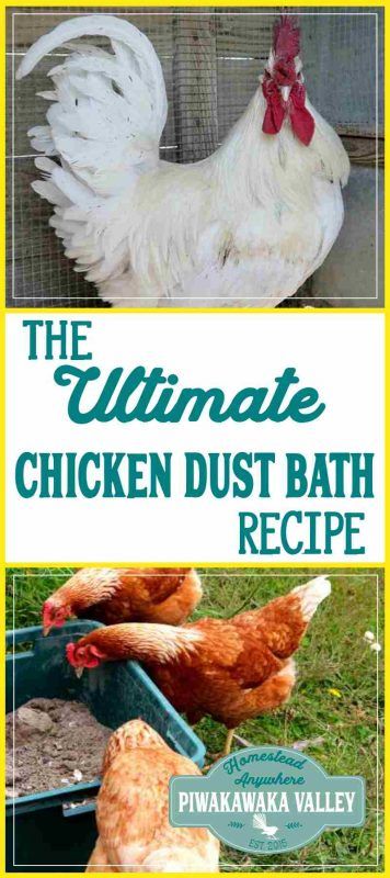 Dust Bath Recipe, Chicken Dust Bath, Dust Bath For Chickens, Hatching Chickens, Dust Bath, Chicken Farming, Backyard Chicken Farming, Bath Recipes, Laying Hens