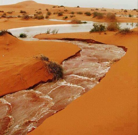 Musing of a witchy writer Deserts Of The World, Desert Oasis, المملكة العربية السعودية, Desert Landscaping, In The Desert, Sand Dunes, The Sand, The Desert, Belle Photo