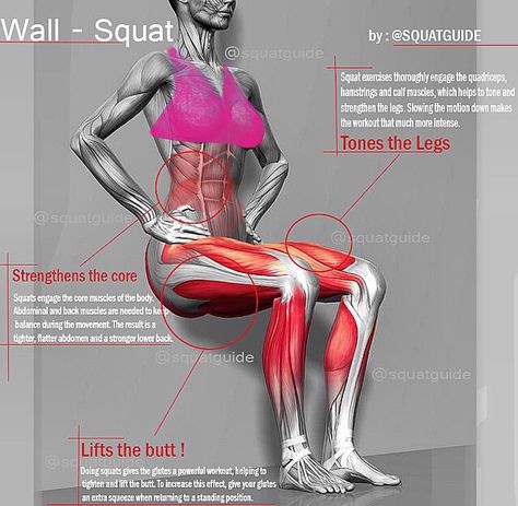 Wall squats Wall Squats, Different Squats, Wall Sit, Wall Squat, Fit People, Wellness Challenge, Winter Wellness, Yoga Anatomy, Fat Burning Tips