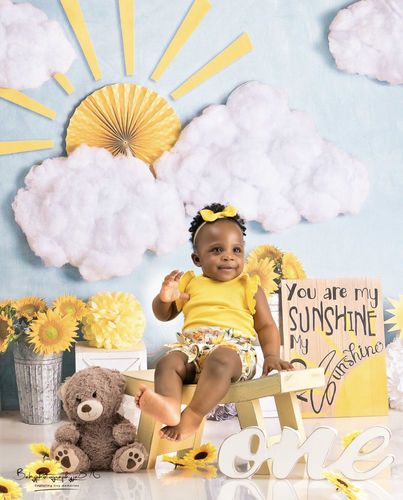 Kate Sunflower Sunshine Children Backdrop Designed By Mandy Ringe Phot Photo Backdrop Ideas, Santa Experience, Cloth Backdrop, Sunshine Birthday, Seamless Backdrop, Seamless Paper, Blue Backdrops, Floral Backdrop, Printed Backdrops