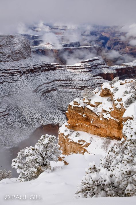 Grand Canyon Snow, Winter Arizona, Canyon Photography, Grand Canyon Village, Grand Canyon South Rim, Fairy Queen, Southwest Desert, Arizona Travel, Arizona Usa