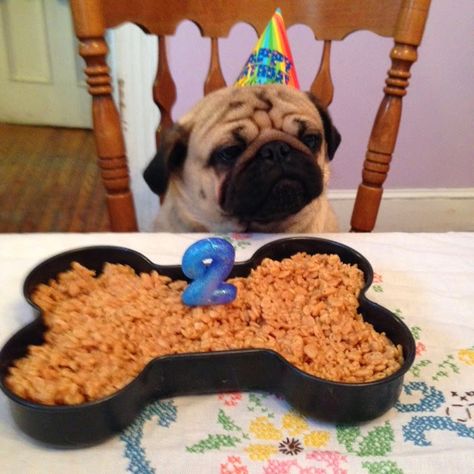 Retro Rover: Rice Krispy Birthday Cake for Dogs Birthday Cake For Dogs, Cake For Dogs, Animal Treats, Dog Birthday Cake, Rice Krispy, Dog Cakes, Dog Birthday Party, Rice Crispy Treats, Dog Cake