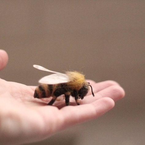 Needle felted Honeybee | Etsy Studying Pictures, Felt Bumble Bee, Felted Bumble Bee, Needle Felted Bumble Bee, Needle Felted Beetle, Needle Felted Beaver, Hedgehog Gifts, Hundred Acre Woods, Study Pictures