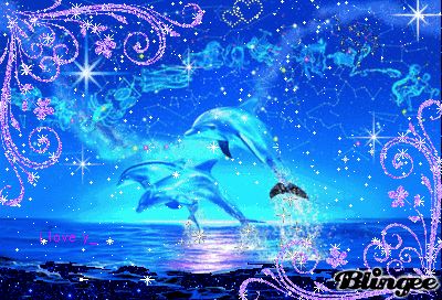 Beautiful Dolphins, Ocean Queen, Meme Format, Dolphin Images, Pretty Gif, Dolphins Tattoo, Baby Alive Doll Clothes, Dolphin Lover, Dolphin Art