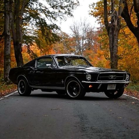 Siyah Mustang, Old Mustang, Ford Mustang 1969, Mobil Mustang, Ford Mustang 1967, Black Mustang, Vintage Mustang, 1967 Mustang, Old Muscle Cars