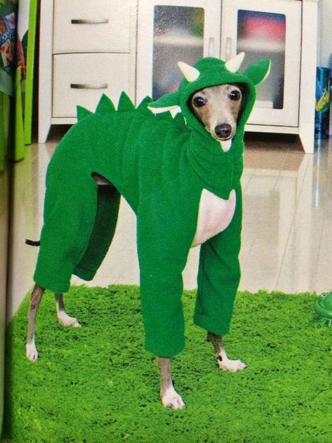 Italian greyhound costume on Pinterest | Italian Greyhound ... Greyhound Dog Costumes, Greyhound Clothes Pattern, Extravagant Costumes, Halloween Costumes For Dogs, Greyhounds Funny, Italian Greyhound Clothes, Costumes For Dogs, Dog Wedding Outfits, Grey Hound