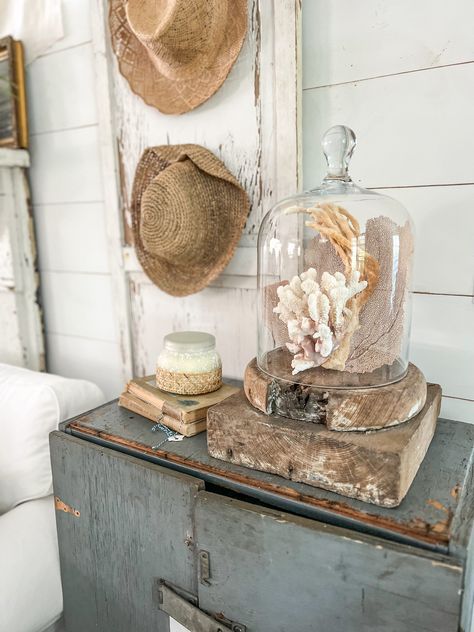 Shells Display Ideas, Shabby Chic Beach House, Decorating With Cloches Vignettes, Vintage Coastal Decor Living Room, Coastal Antique Decor, Vignettes Styling Display Ideas, French Coastal Style, French Coastal Decor, Marsh House