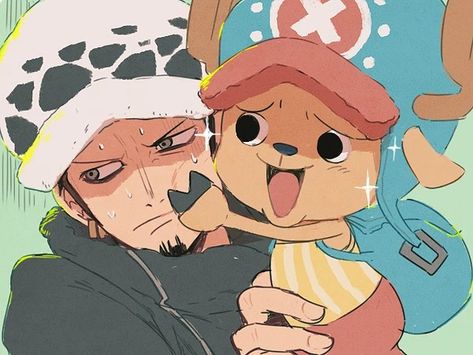 Praise The Sun, Sun God, Trafalgar Law, Cute Kawaii, Chopper, Cartoon Characters, The Sun, Sun, On Instagram