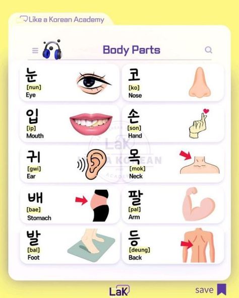 Body Parts In Korean, Body Parts For Kids, Body Name, Learn Thai Language, Learn Thai, Flower Pattern Drawing, Thai Language, Parts Of The Body, Early Bird