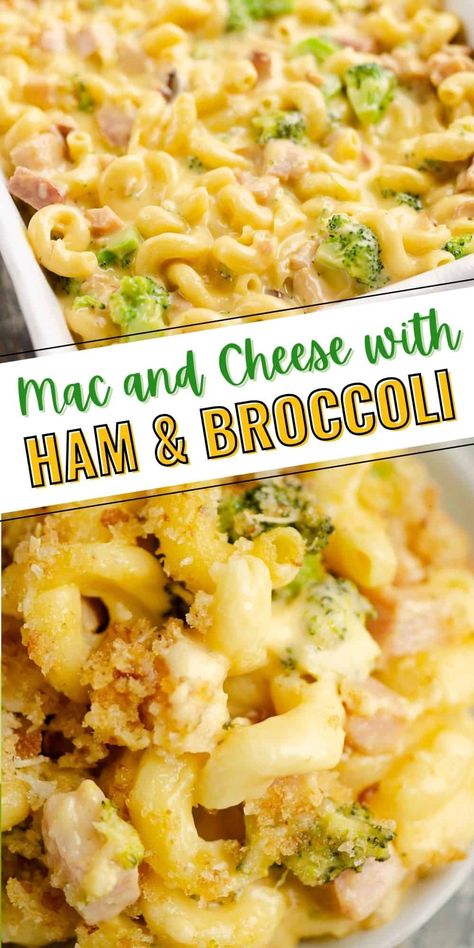 Leftover Macaroni, Mac And Cheese With Ham, Ham Mac And Cheese, Delicious Mac And Cheese, Ham And Broccoli, Ham Broccoli, Taco Mac And Cheese, Mac And Cheese Casserole, Holiday Leftovers