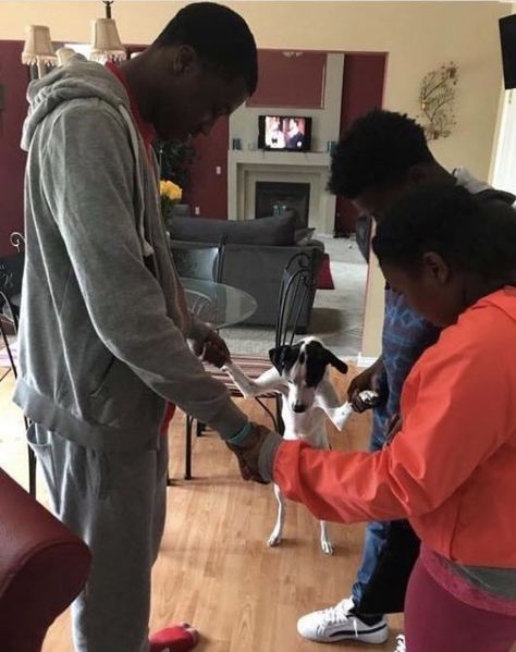 A family that prays together Prayer Circle, Memes Sarcastic, Reaction Meme, Morning Humor, Can't Stop Laughing, Funny Animal Memes, Funny Animal Pictures, Animal Memes, Boyfriend Pictures