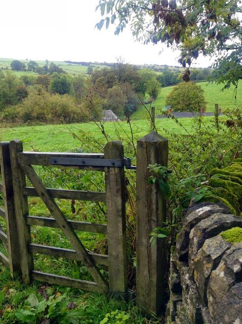 Country Gate Entrance Ideas Wood, Old Gates In Garden, Living Fences, Rock Fence, Greener Grass, Country Walks, Old Gates, Country Field, Wooden Gate