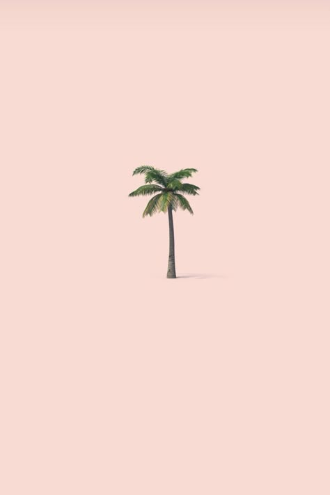 INSTAGRAM HIGHLIGHTS ICONS AND COVERS. BEST INSTAGRAM HIGHLIGHTS COVERS FOR YOUR INSTA STORIES. INSTAGRAM BRANDING. Hawaii Highlight Cover, Story Highlight Icons Aesthetic, Best Quality Wallpapers, Frame Instagram, Grid Instagram, Instagram Highlights Icons, Instagram Highlights Covers, Iphone 6 Plus Wallpaper, Grid Wallpaper