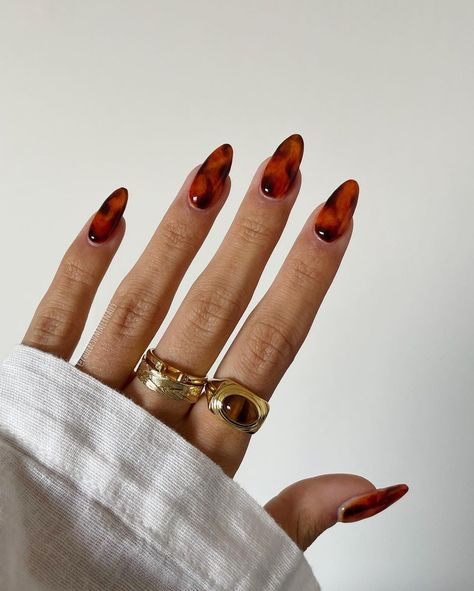 Tortoise Shell Nails Almond, Tort Shell Nails, Tortus Shell Nails, Jelly Brown Nails, Red Tortoise Shell Nails, Brown Jelly Nails, Amber Nails, Tortoiseshell Nails, Tortoise Shell Nails