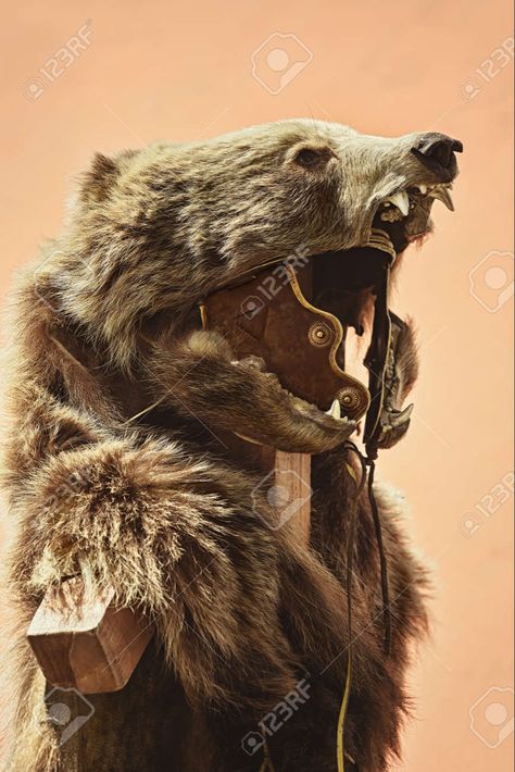 Bear Pelt Cloak, Wolf Pelt Cloak, Bear Cloak, Bear Pelt, Viking Bear, Reference Photos, Character Designs, Art References, Historical Clothing