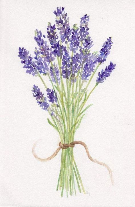 Lavender Artwork, Lavender Watercolor, Artwork Watercolor, Lavender Bouquet, Cat Air, Watercolor Paintings Easy, Watercolor Flower Art, Seni Cat Air, Watercolor Flowers Paintings