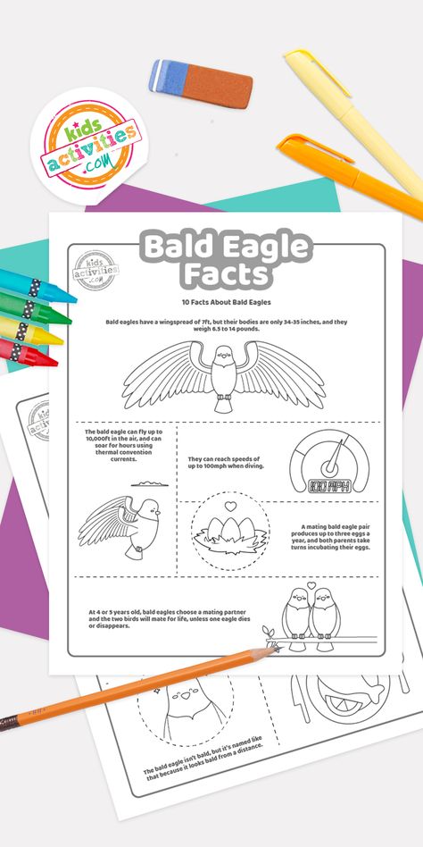 Eagle Facts, George Washington Facts, Sloth Facts, Chuck Norris Facts, Panda Facts, Frog Facts, Dolphin Facts, Sun Coloring Pages, Turtle Facts