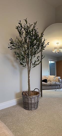 CROSOFMI Artificial Olive Tree 150cm Big tall Fake Plants, Artificial Olive Silk Plants Indoors in Pots, Faux Tropical large artificial plant suitable for Home Office Living Room outdoors Decor : Amazon.co.uk: Home & Kitchen Tall Fake Plants, Artificial Olive Tree, Areca Palm, Home Office Living Room, Silk Plants, Artificial Tree, Fake Plants, Olive Tree, Office Living Room