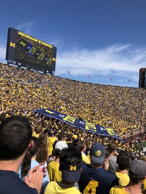 Umich Aesthetic, U Michigan, University Of Michigan Campus, Michigan Go Blue, University Of Michigan Wolverines, Michigan Summer, Michigan Wolverines Football, College Aesthetic, Michigan Football