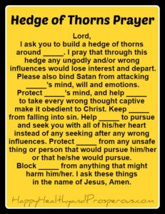 Praying a Hedge of Thorns | http://www.happyhealthyandprosperous.com/praying-hedge-of-thorns/ Prayer For Son, Prayer For My Son, Prayer For My Family, Prayers For My Husband, Prayer For Husband, Prayer For My Children, Deliverance Prayers, Spiritual Warfare Prayers, Everyday Prayers