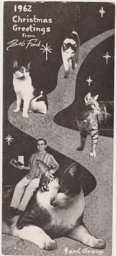 Bob Ford And His Cats, 1962 Vintage Holiday Cards, Family Christmas Cards, Homemade Christmas Cards, Family Pets, Holiday Greeting, Cat Cards, Victorian Christmas, Magical Christmas, Holiday Greeting Cards