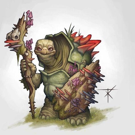 Tortle Druid, Spore Druid, Dungeons And Dragons Books, Dnd Druid, Dnd Races, Animal Groups, Fantasy Artist, A Character, The Circle