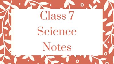 CBSE Notes: Nutrition in Plants Class 7 Notes  #CBSEClass7ScienceNotes #NutritioninPlantsNotesofClass7 Nutrition In Plants Class 7, Class 7 Science Notes, Nutrition In Plants, Science Revision, Revision Notes, Study Better, Science Notes, Weather And Climate, Chapter 16