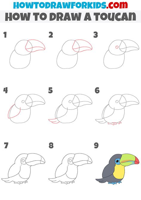 how to draw a toucan step by step Jungle Doodles To Draw, How To Draw A Toucan Step By Step, Toucan Drawing Easy, Easy Jungle Animal Drawings, How To Draw A Toucan, How To Draw Jungle Animals, Cute Easy Animal Drawings Step By Step, Toucan Art For Kids, How To Draw A Giraffe Step By Step