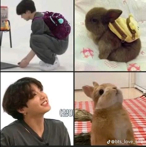 Unusual Animal Friendships, Animal Friendships, V Bta, Jungkook Funny, Jungkook Fanart, A Monkey, Jeon Jungkook Photoshoot, Kpop Funny Bts, First Love Bts