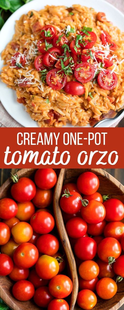 This Creamy Tomato Orzo is a one-pot wonder that’s ready in 25 minutes flat! Serve it up as a saucy side dish with your favorite protein or give it top billing as a tasty vegetarian main course! One of my favorite pasta recipes! One Pot Tomato Orzo, Orzo Recipes Tomato, Tomato Orzo Recipes, Orzo Peas, Tomato Orzo Pasta, Creamy Tomato Orzo, Tomato Orzo, Pasta Tomato, Vegetarian Main Course