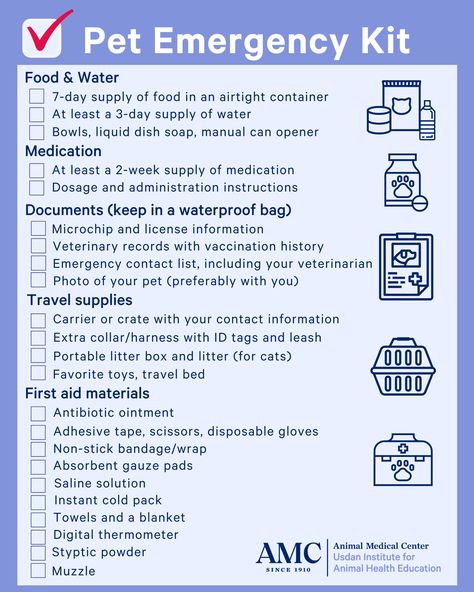 Emergency Kit Checklist, Pet Emergency Kit, First Aid Kit Checklist, National Preparedness Month, Family Emergency Plan, Emergency Contact List, Emergency Prepardness, Emergency Preparedness Kit, Expect The Unexpected