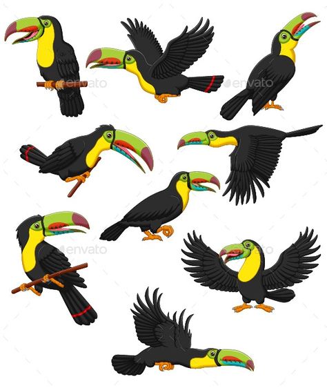 Set of 9 Cute Toucan Cartoon - Animals Illustrations Toucan Cartoon, Cartoon Features, World Map Mural, Cartoon Download, Map Murals, Logo Presentation, Vector Art Design, Cartoon Cartoon, Funny Cartoon