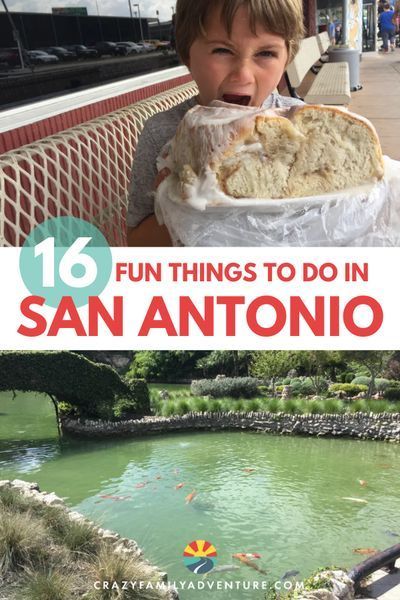 Houston Texas Aesthetic, San Antonio Travel, San Antonio Things To Do, San Antonio Vacation, Texas Aesthetic, Downtown Shopping, Visit San Antonio, San Antonio Zoo, Texas Adventure