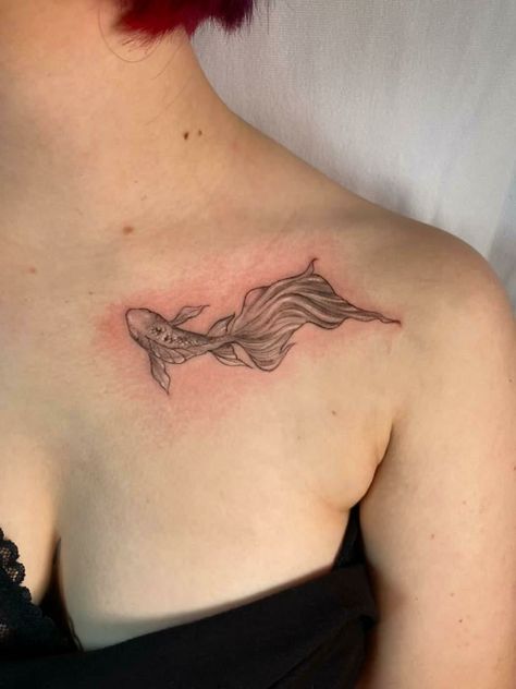 Fish Collarbone Tattoo, Fish Tattoo Collarbone, Cobia Fish Tattoo, Animal Collarbone Tattoo, Gold Fish Tattoo, Gold Fish Tattoos, Gold Fish Tattoo Design, Fantail Goldfish Tattoo, Tattoo Collarbone